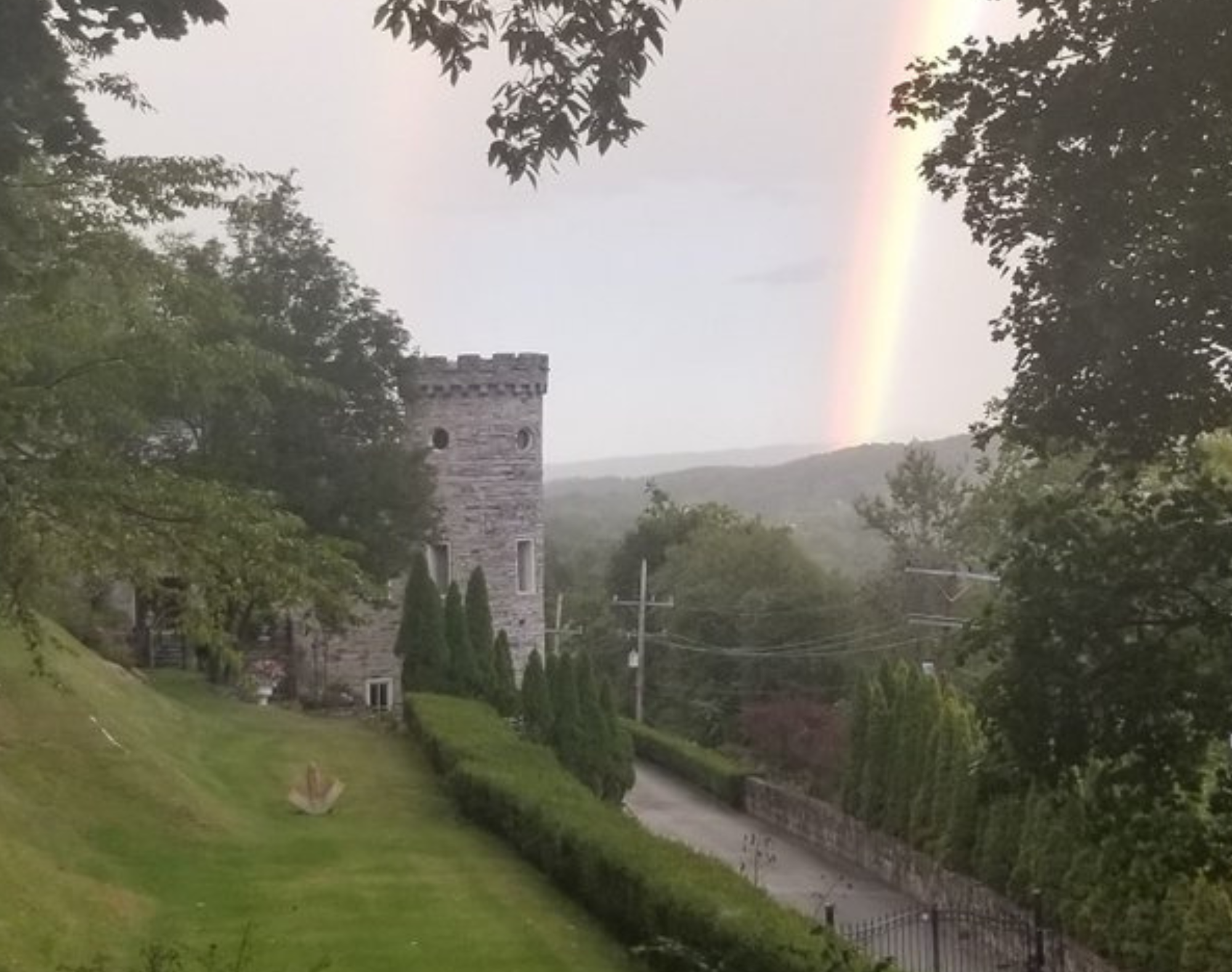 Volunteer Opportunity: Communications Coordinator (Remote)